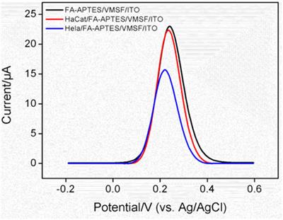 Vertically ordered mesoporous silica film-assisted electrochemical cytosensor for the sensitive detection of HeLa cells
